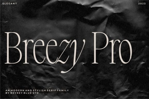Breezy Pro Serif Font for Digital Marketing