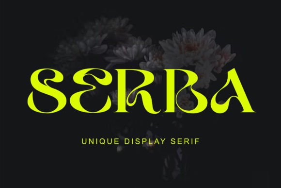 Bring Your Brand to Life with the Serba Typeface