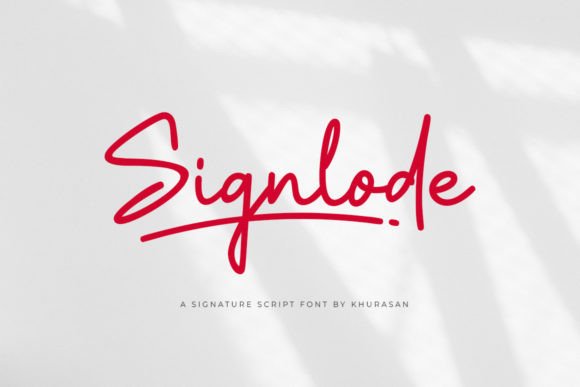 How Signlode Elevated My Brandβs Visual Identity