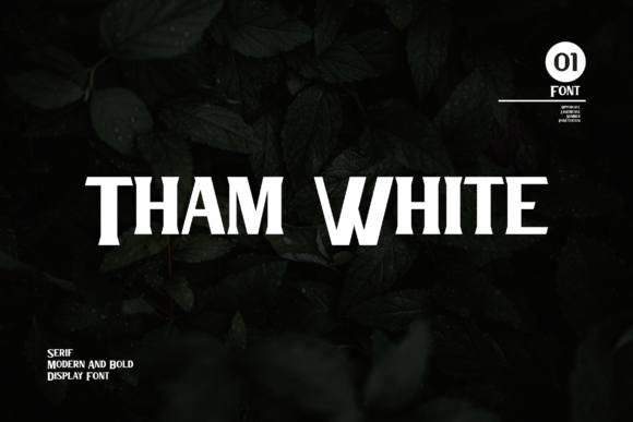 Tham White Serif Font for Modern Web Design